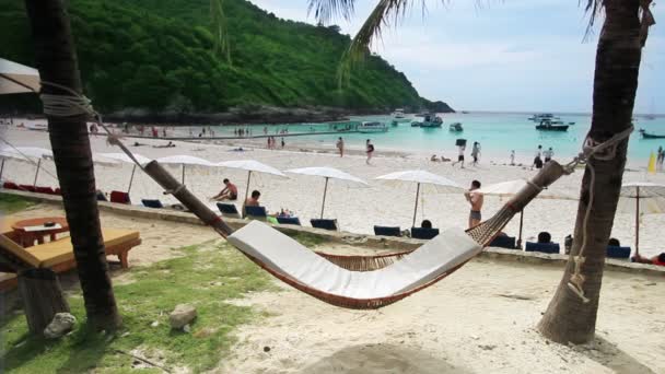 Empty hammock in an exotic beach — Stock Video