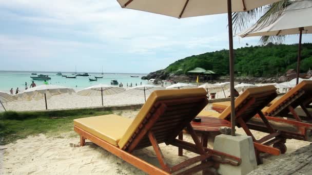 Lege ligstoelen in een exotische strand — Stockvideo