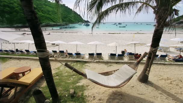 Lege hangmat in een exotische strand — Stockvideo