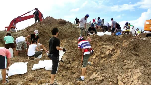 Voluntarios para detener la inundación — Vídeos de Stock