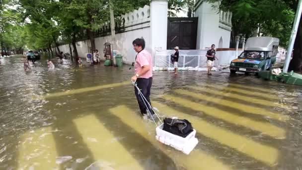 Street under flood — Stock Video