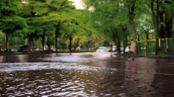 Straße unter Wasser — Stockvideo