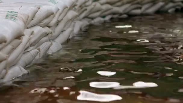 Sandbags to stop flood — Stock Video