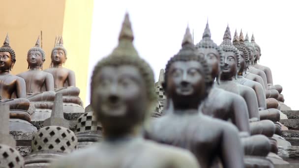 斯里兰卡的佛教寺庙 — 图库视频影像