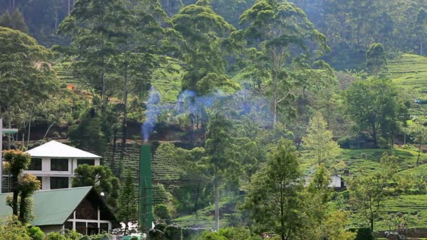 Fumaça e fábrica na floresta verde natural — Vídeo de Stock