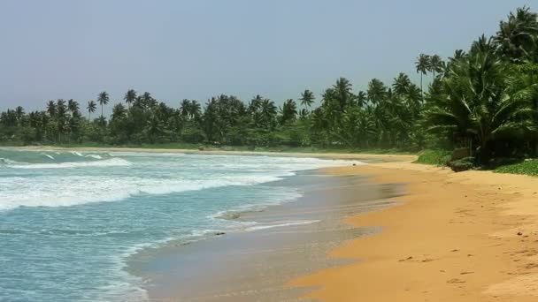 Экзотические matara пляж, Шри-Ланка — стоковое видео