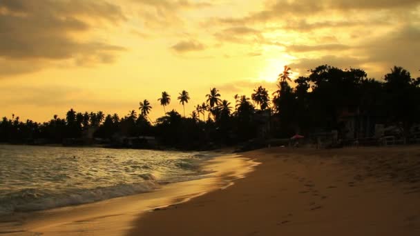 Playa exótica unawatuna, sri lanka — Vídeo de stock