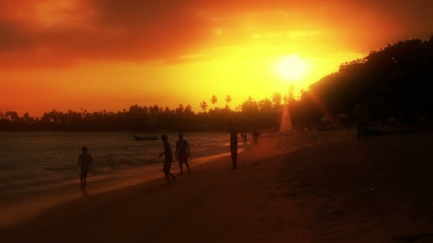 Plaża egzotycznych unawatuna, sri lanka — Wideo stockowe