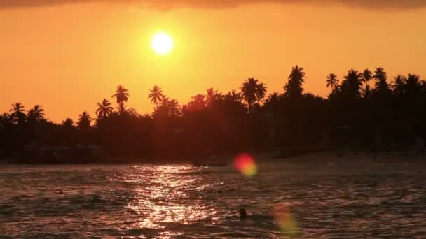 Exotische unawatuna strand, sri lanka — Stockvideo