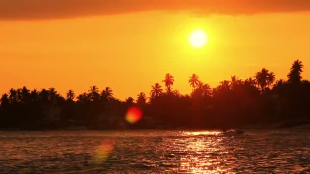 Exotische unawatuna strand, sri lanka — Stockvideo