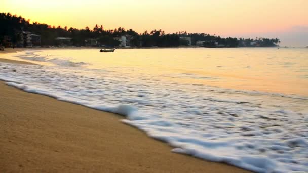 Exotické unawatuna beach, Srí lanka — Stock video