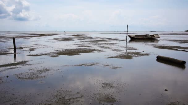 Low tide — Stock Video