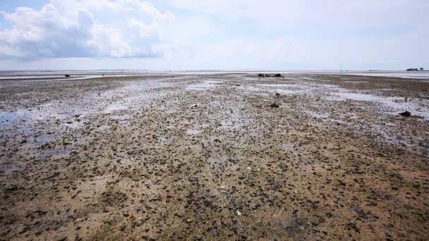 Marea baja — Vídeos de Stock