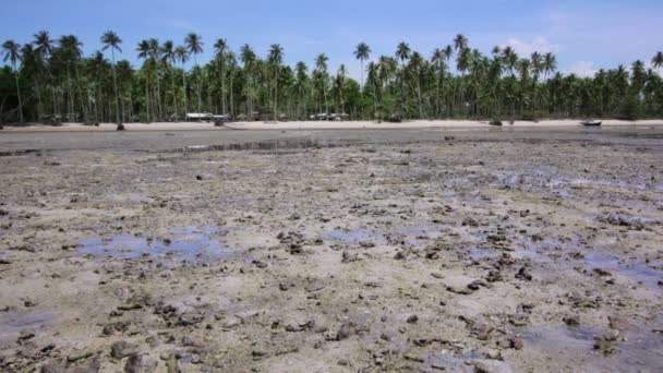 Low tide — Stock Video