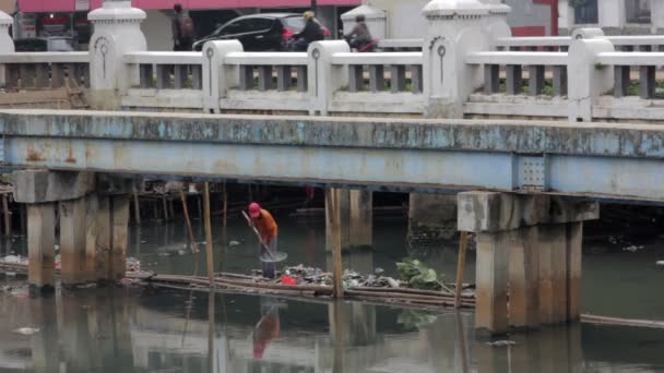 Indonesier arbeitet im ungesunden offenen Abwasserkanal von Jakarta — Stockvideo