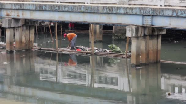 Indonéské muž pracuje v nezdravé otevřená stoka jakarta — Stock video