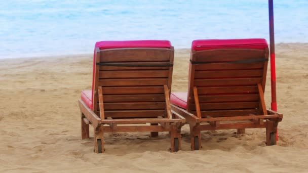 Two sunbed on beach — Stock Video