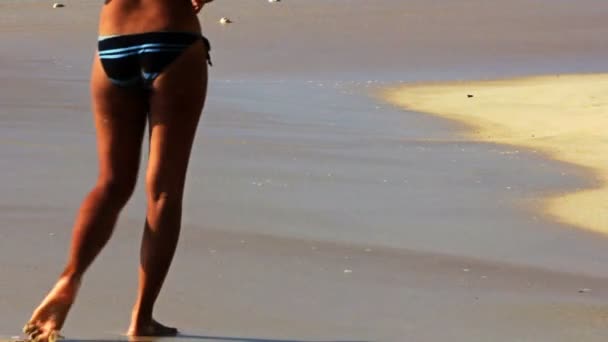 Sexy Asian Girl at Exotic Beach Enjoys with Sun Sea — Stock Video