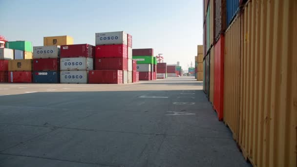 Freight containers in the docks of Izmir Harbour — Stock Video