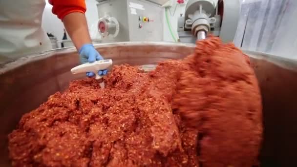 Mixing mince meat — Stock Video