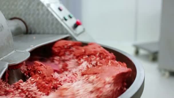 Miscelazione di carne macinata — Video Stock