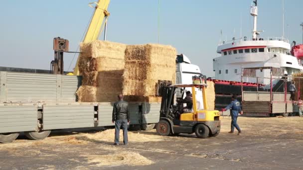 Hay bales loaded onto lorries, harbour — Stock Video