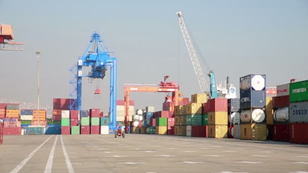 Conteneurs de fret dans les quais du port d'Izmir — Video