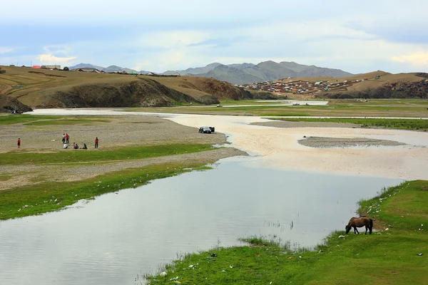 Hästar betar på ulaanbaatar förorter — Stockfoto