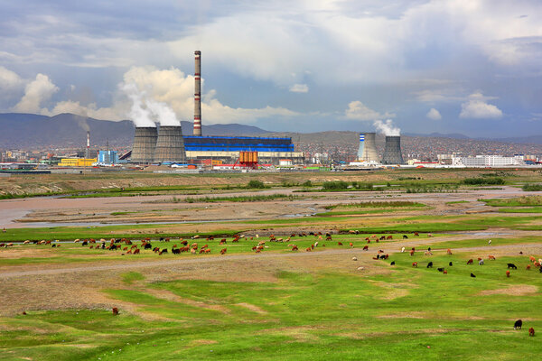 Animals grazing next to power plant