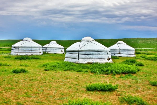 Mongolian Yurt, Ger Camp — Stock Photo, Image