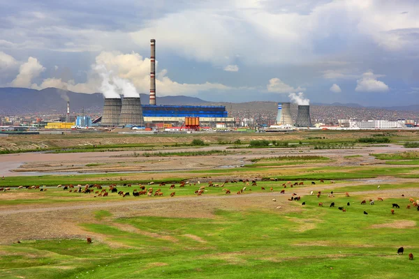 Animals grazing next to power plant Stock Photo