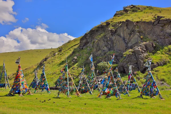 Shaman adak träd, böns flagga, Mongoliet Stockbild