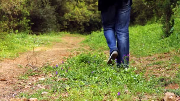 Chica caminando — Vídeo de stock