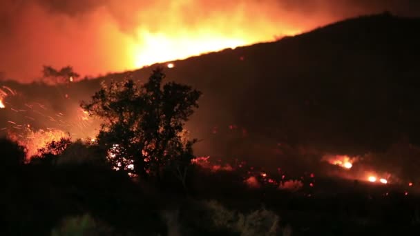 Incendio forestal cerca de casas — Vídeos de Stock