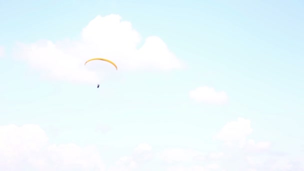 Paragliding — Stockvideo