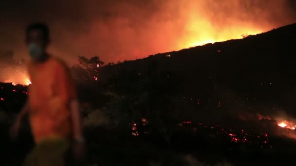 Feuerwehrleute bei nächtlichem Waldbrand — Stockvideo