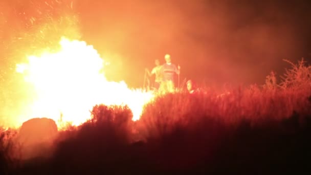 Bomberos en el incendio del bosque nocturno — Vídeo de stock