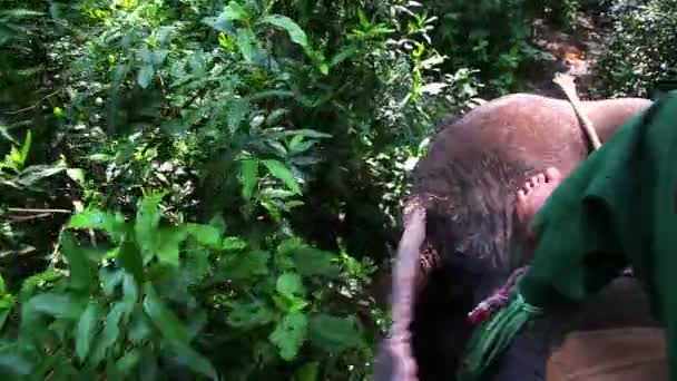 Monter sur les éléphants de retour 