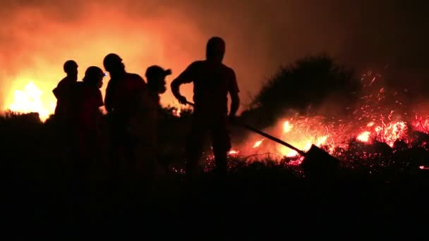 Bomberos en el incendio del bosque nocturno — Vídeo de stock
