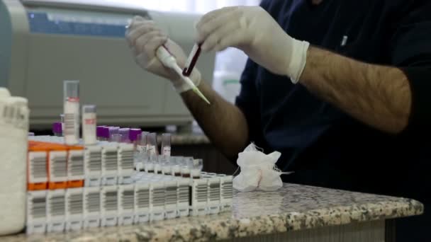Тестування зразки крові — стокове відео