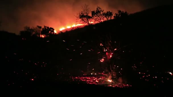 Strażacy w nocy pożar lasu — Wideo stockowe