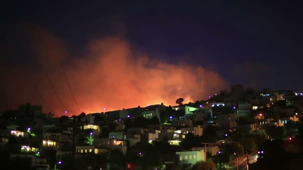 Лесной пожар возле домов — стоковое видео