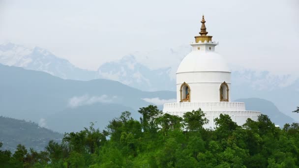 Buddhistische Stupa — Stockvideo