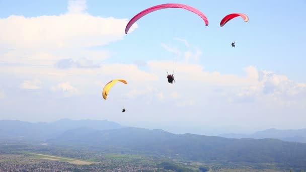 Paragliding — Stock video