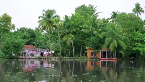 Backwaters van Kerala — Stockvideo