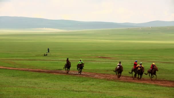 Aygır at yarışı 2013 Finalleri — Stok video