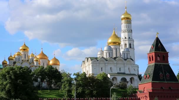 Palacio del Kremlin — Vídeo de stock