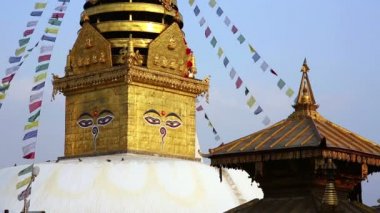 Buda'nın gözleri