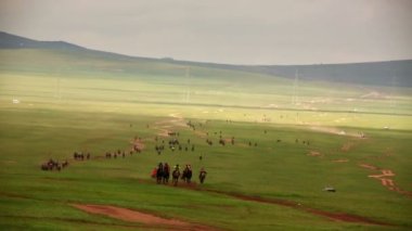 aygır at yarışı 2013 Finalleri