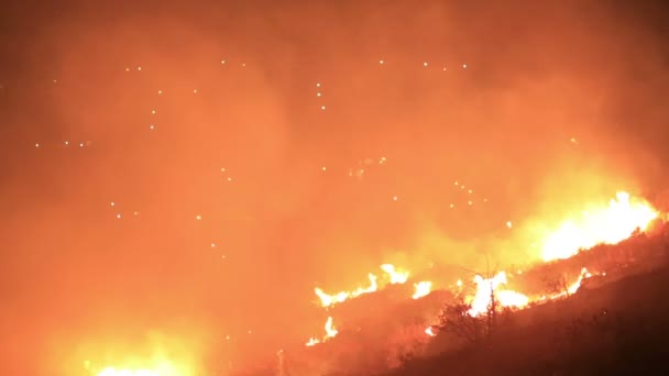 Δασική πυρκαγιά κοντά σε σπίτια — Αρχείο Βίντεο